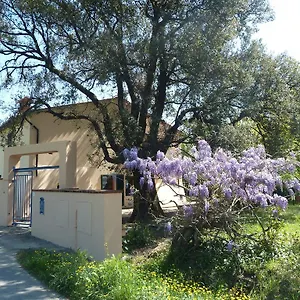  Casa di campagna Al Vecchio Leccio Italia