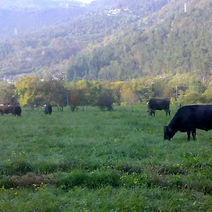  Alloggio per agriturismo Biobiò Italia